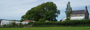 Tyddyn Adda Farm