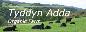 http://tyddynadda.co.uk website